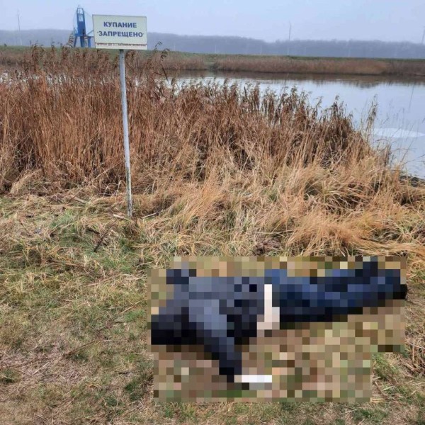 В Бресте из Мухавца извлекли тело женщины — её заметил прохожий