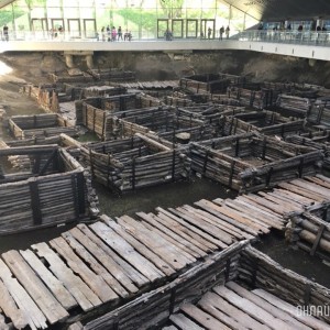 Человек, который нашёл Берестье: воспоминания о брестском археологе Петре Лысенко