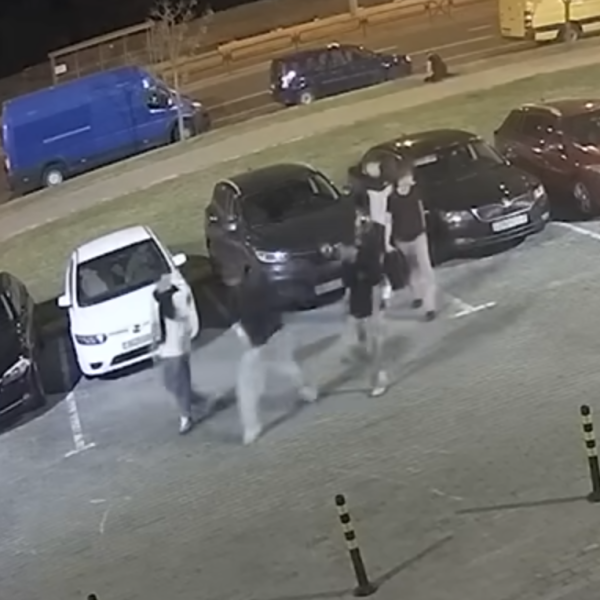 Земельный спор между соседями в Пружанском районе решило одно слово эксперта-почерковеда
