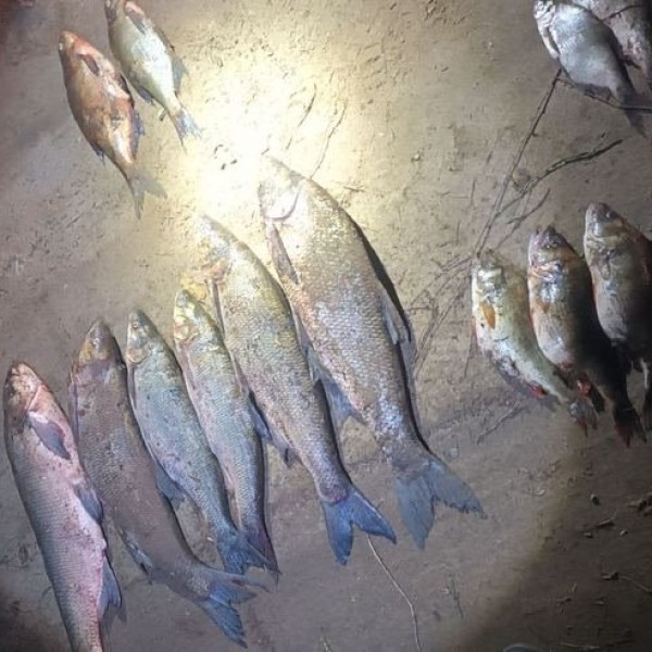 В Беларуси мужчина нарыбачил на 6 тысяч рублей