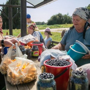 «Внучка продает, чтобы одеться к школе». Как живет деревня, где местные зарабатывают на лисичках