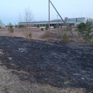 В Беларуси мужчина неудачно покурил в поле и едва не сгорел заживо