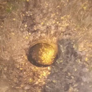 В Беларуси дедушка и внук провалились в колодец в лесу