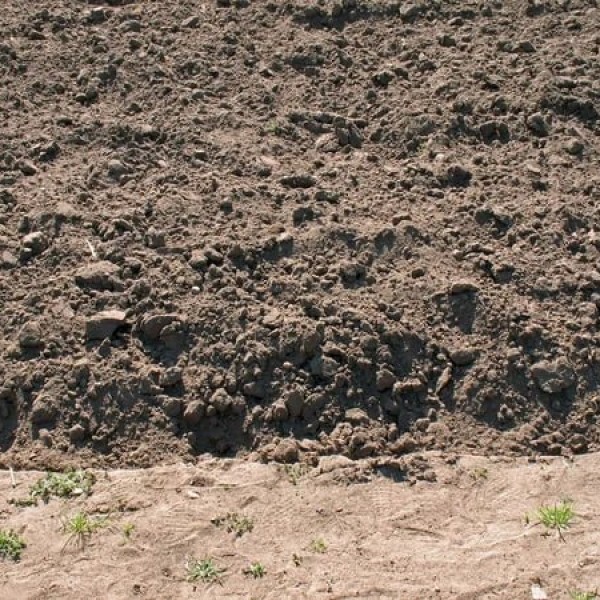 В Жабинковском районе нашли яму, куда фашисты бросали живых детей