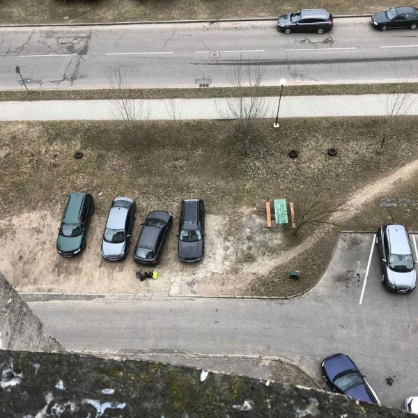 В Беларуси мужчина тушкой курицы разбил лобовое стекло автомобиля