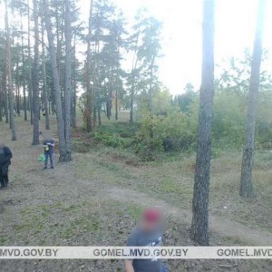 В Беларуси 35-летний мужчина украл фотоловушку из леса и сам попал в нее