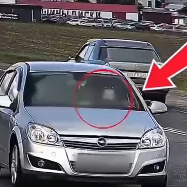 5-летний ребенок ехал на коленях у непристегнутого водителя. Реакция ГАИ