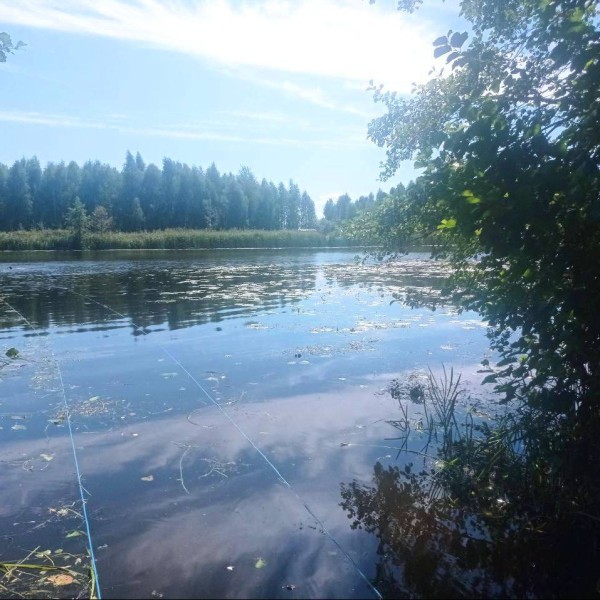 Ребёнок спас сестру, но взрослый не выжил. Подробности трагедии в Брестской области
