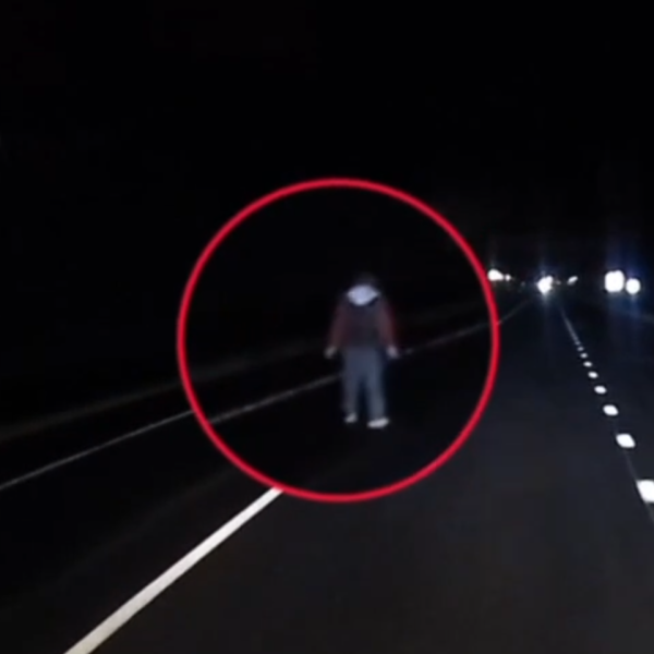 В Беларуси регистратор запечатлел последние минуты жизни пешехода