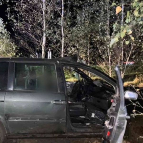 В Брестской области «Peugeot» врезался в лося