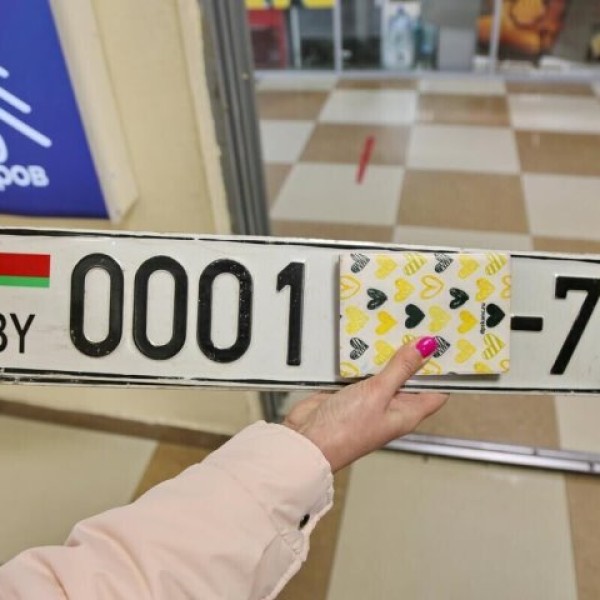 Lexus с необычными номерами пытался проехать границу