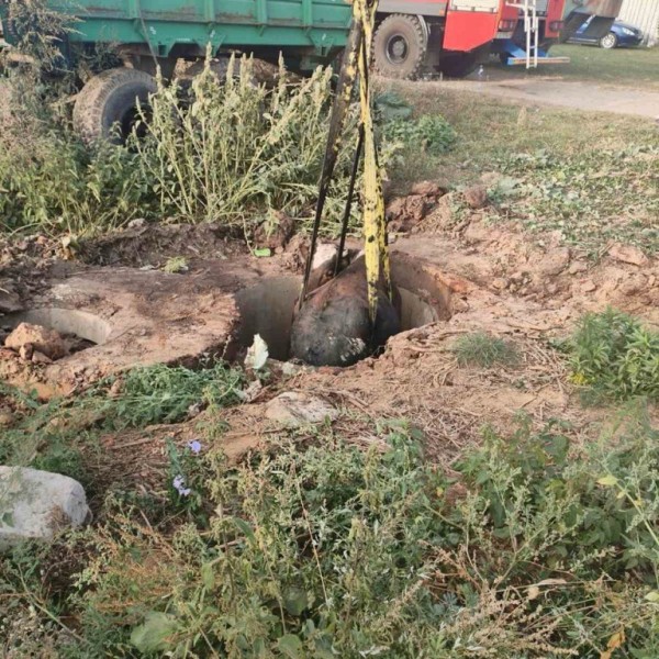 Корова упала в колодец — вот как ее доставали