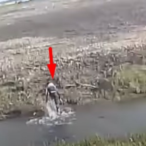 В Беларуси водитель BMW собрал 27 протоколов за одну поездку — что он сделал