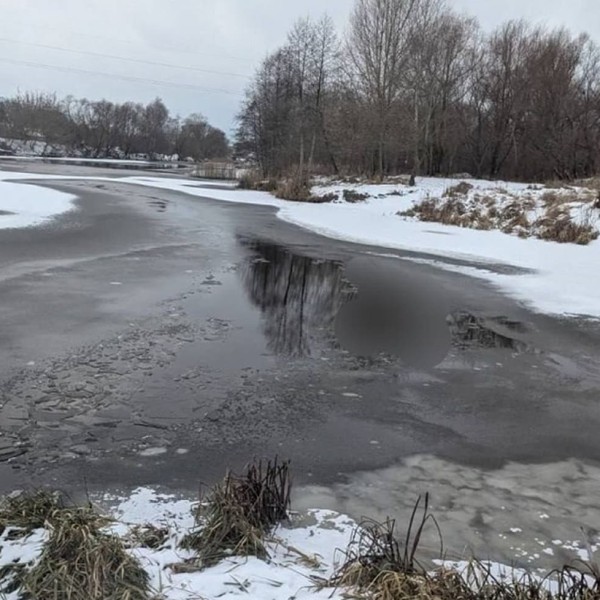Двое мужчин утонули в Кобрине