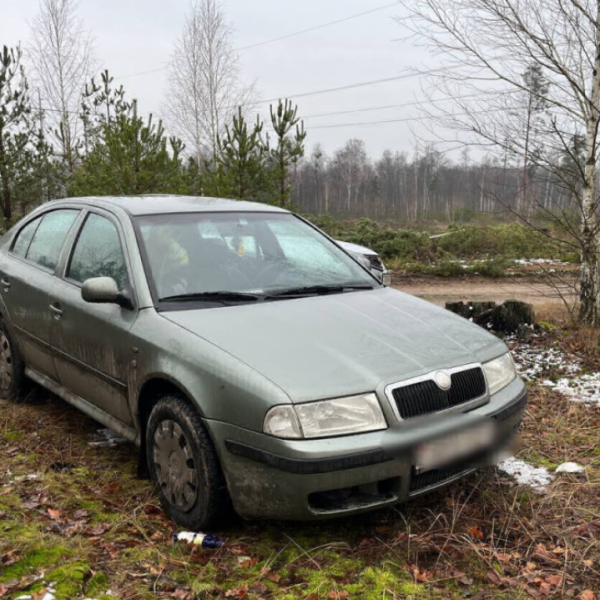 «Поехали в соседнюю страну»: как пьяные жители Пинска угнали автомобиль и что им за это грозит