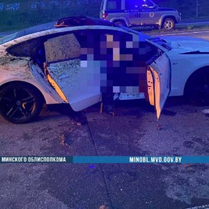 В Беларуси Audi A5 сбил лося на трассе М-3 – погибла пассажирка, пассажир в больнице