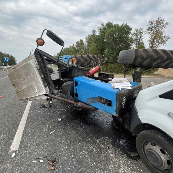 Трактор с телятами столкнулся с грузовиком