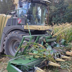 В Столбцовском районе пенсионер собирал кукурузу и попал под комбайн