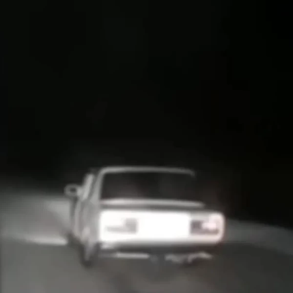 В Столинском районе пьяного бесправника остановили с применением оружия — видео