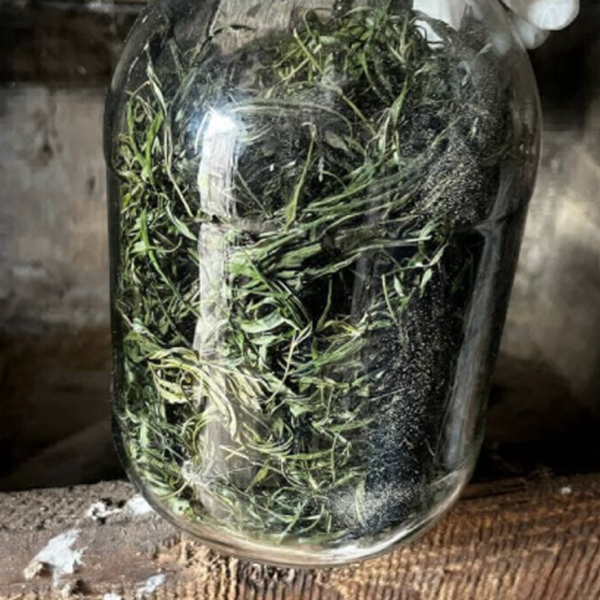 Житель Пружанского района задержан за хранение марихуаны