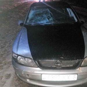 Сын на автомобиле насмерть сбил своего отца, которого выехал встречать