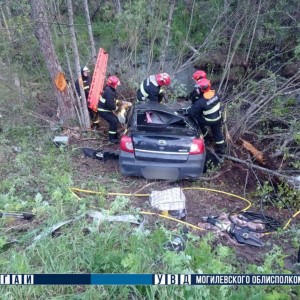 В Беларуси лось спровоцировал смертельное ДТП