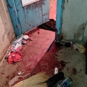 В Жодино собаки загрызли хозяина квартиры