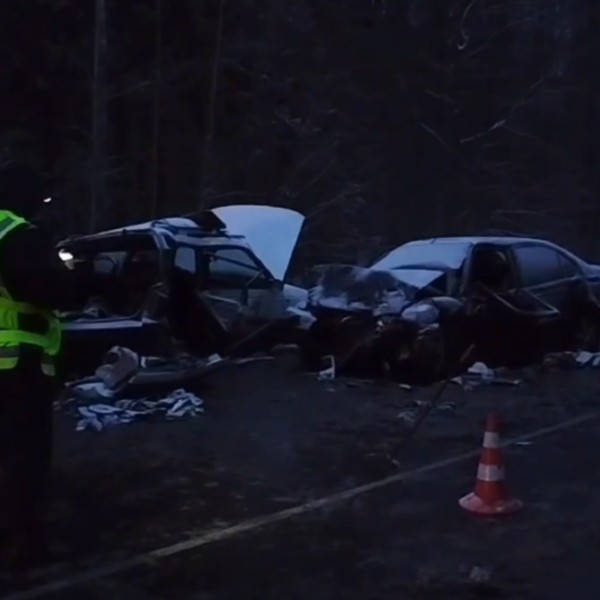 Страшное ДТП: пассажир иномарки погиб, несколько пострадавших, в том числе дети