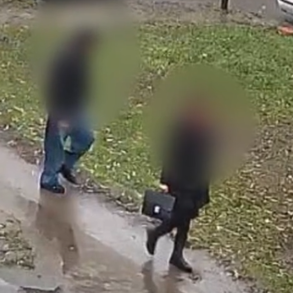 Мать и 18-летняя дочь обчищали дома в Бресте