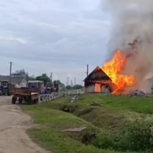 В Толочинском районе на пожаре погибли почти 30 телят