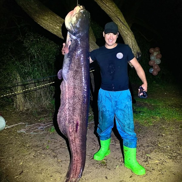 Белорус поймал два огромных сома