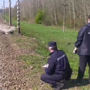 В Беларуси пожилая пара погибла под колесами поезда