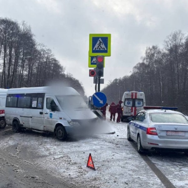 Названы причины аварии с маршруткой в Брестской области