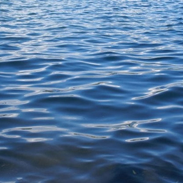 В Беларуси двухлетний мальчик утонул в пруду