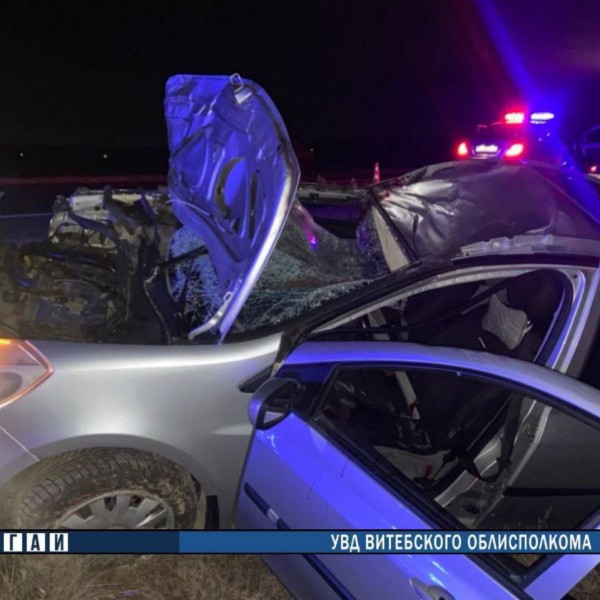 Лось стал причиной смертельного ДТП