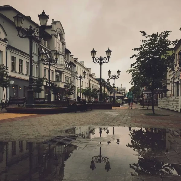 Когда в Беларуси была зафиксирована самая теплая новогодняя ночь? Рассказали синоптики