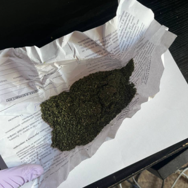 Собирал на пустырях и сушил: житель Лунинца попался на марихуане