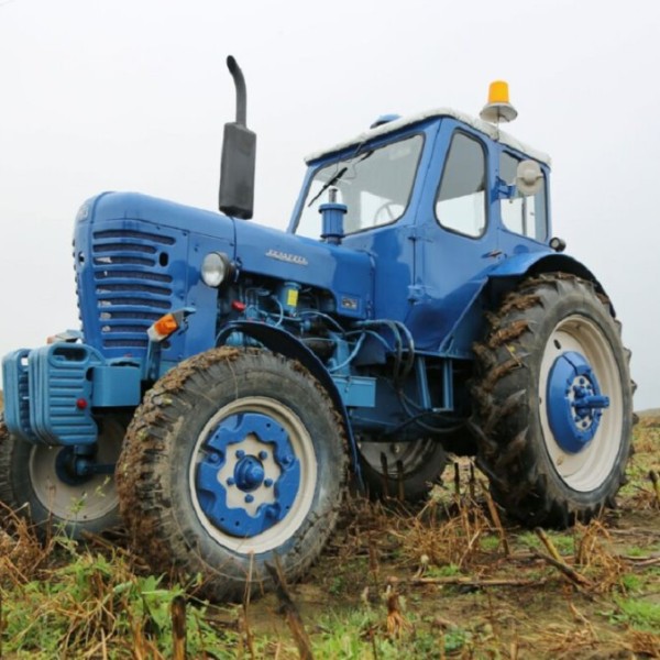 Беларусь сократила список профессий, запрещённых для подростков — что изменилось