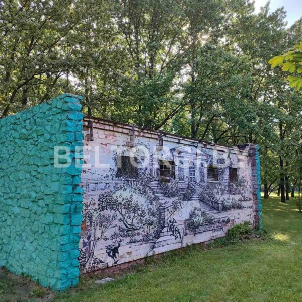 В Беларуси на торги выставили деревенский туалет — какая цена