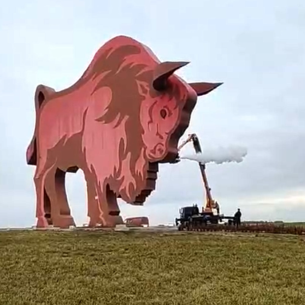 Сколько зубров в Беловежской пуще — вот цифры