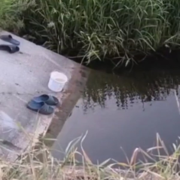 В Калинковичском районе утонули два мальчика. Подробности трагедии