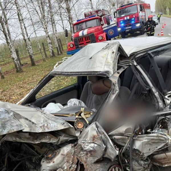 18-летний водитель на Hyundai погиб в Брестской области