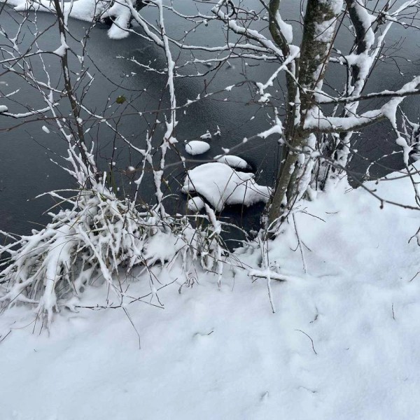 В Каменецком районе в реке обнаружено тело мужчины