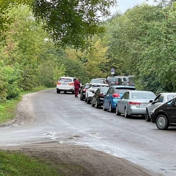 В Бресте выявили незаконный бизнес на перевозке пассажиров через границу