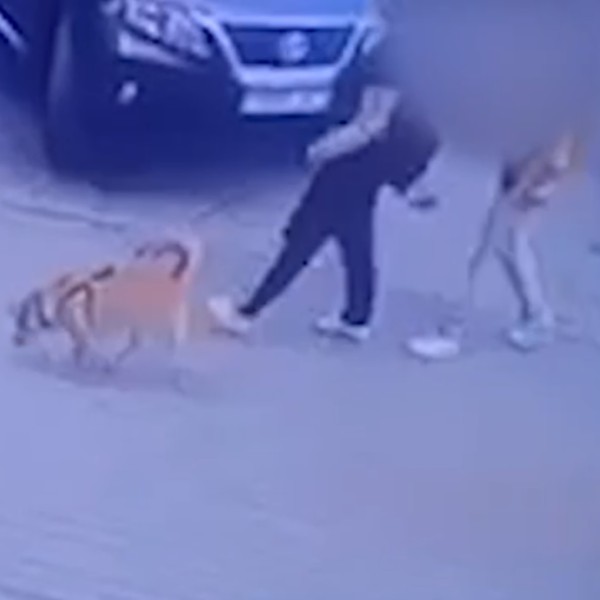 Неудачная парковка обернулась трагедией — погибла женщина