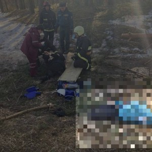 Мать погибла, дочь в больнице: в Беларуси дерево упало на двух женщин