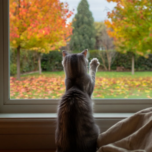Подачу тепла в жилфонд начали в Бресте