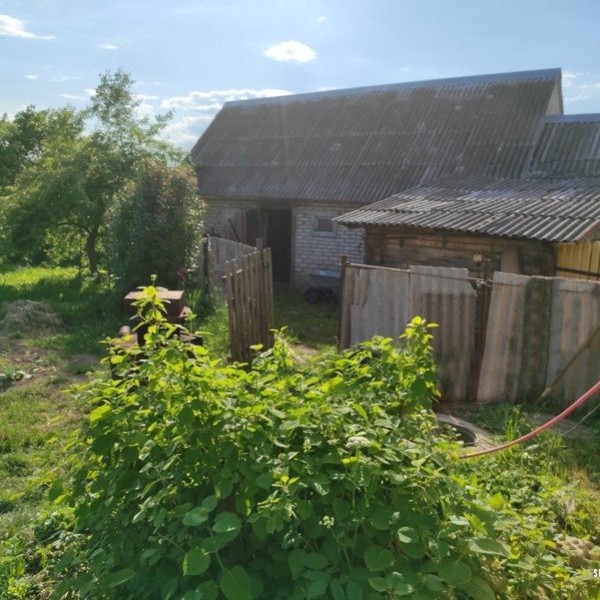 Неисправность шнура электроприбора привела к гибели женщины в Беларуси