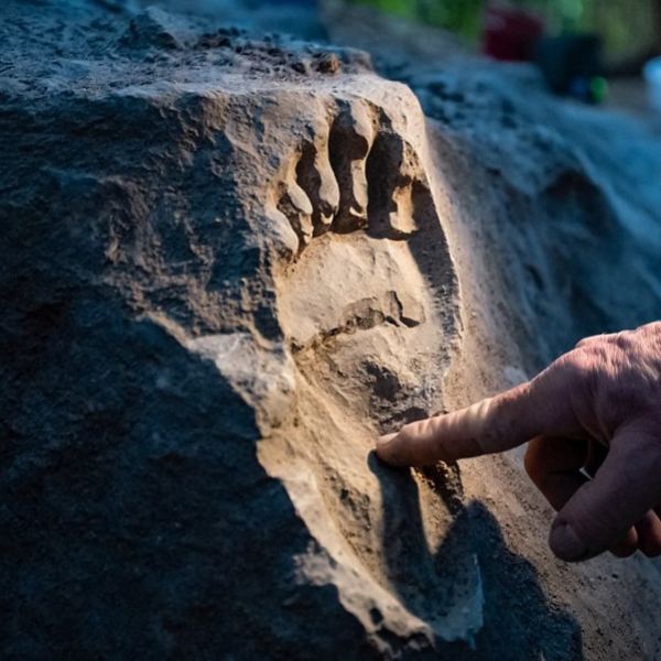 На Брестчине найден один из древнейших следов человека в Беларуси