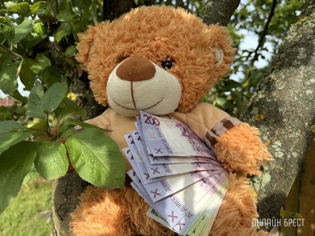 Белоруска похвасталась пособием и не хочет работать